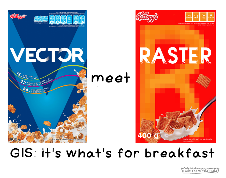 Vector-Raster
